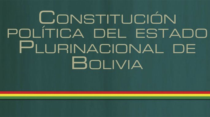 La Nueva Constitución Política del Estado