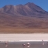 13-Day Bolivian Odyssey