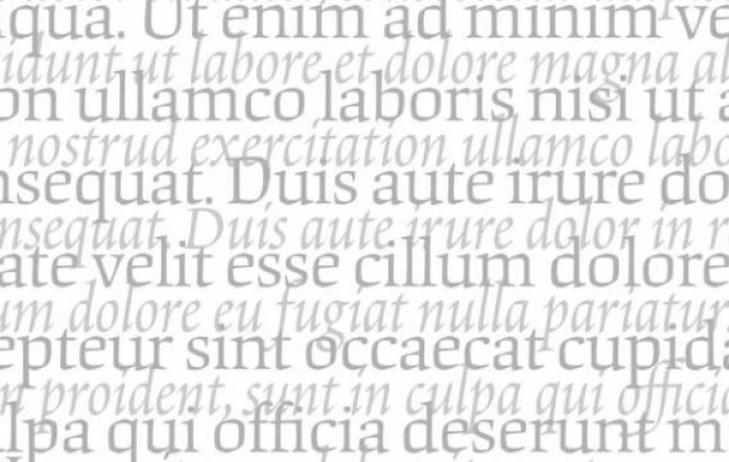 Asamble�sta departamental acusa al MAS de robo y discriminaci�n