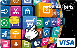 Bisa NetCard