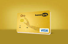 Tarjeta Visa Oro